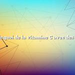 Question : Pourquoi de la vitamine C avec des cynorrhodons